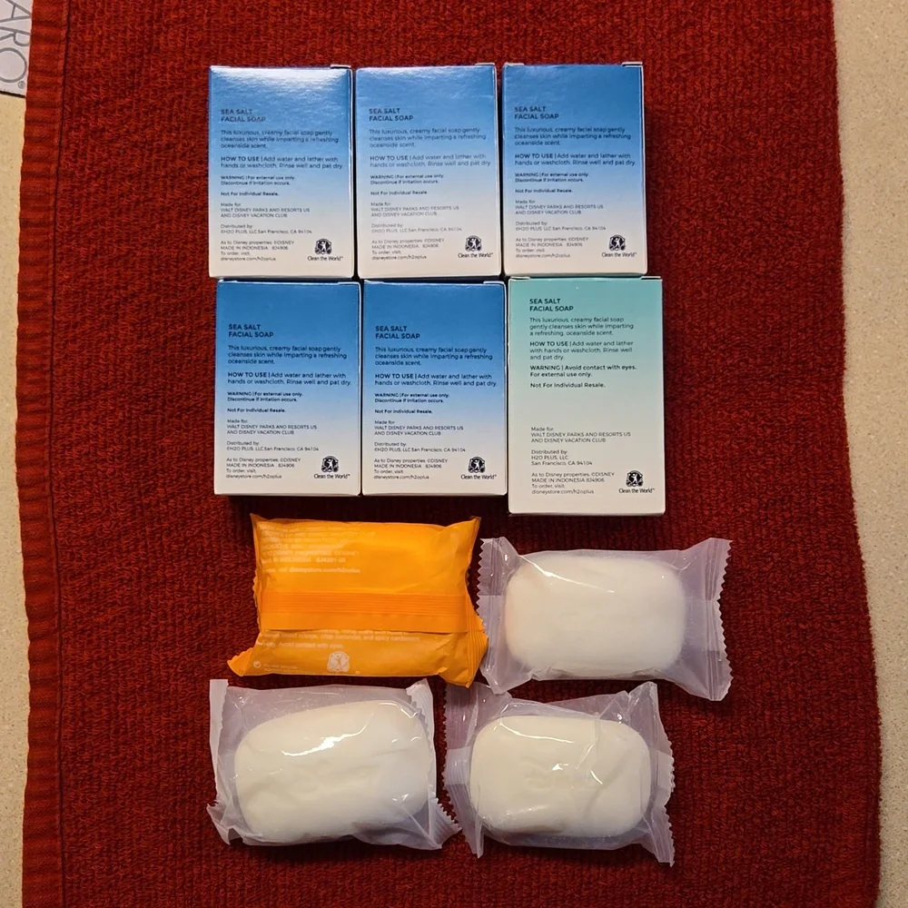Disney Resorts H20+ facial soap bundle sea salt